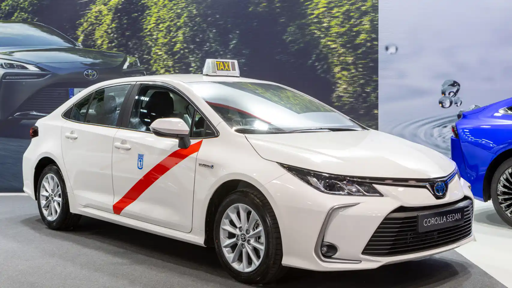 679942749_225062363_1706x960